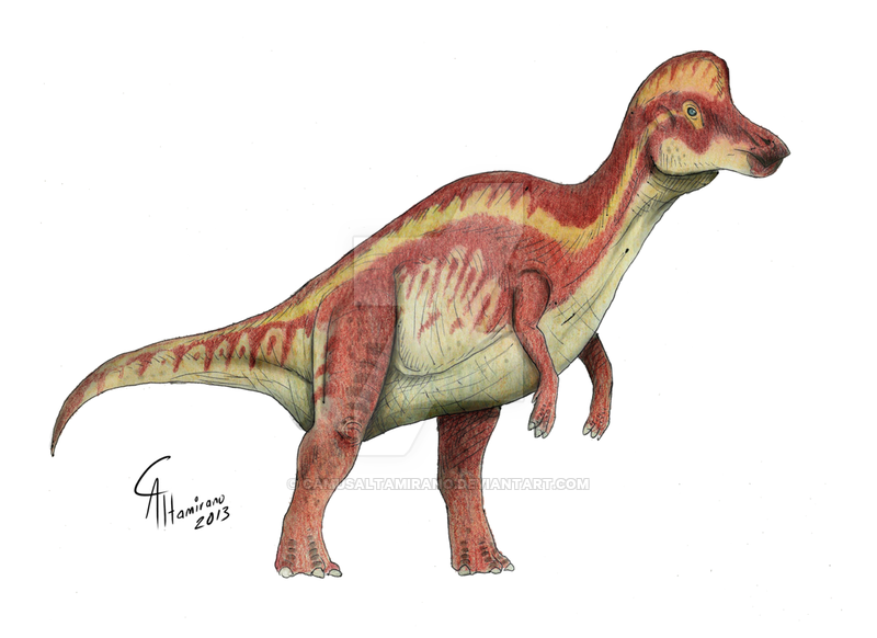 corythosaurus dinosaur with crest on head