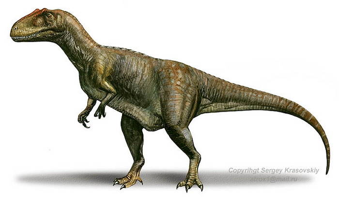 dating dinosaurs wiki For the first time, scientists have extracted what appears to be soft tissue from a dinosaur the meaty-looking tissue seems to contain blood vessels and cells. dating dinosaurs wiki For the first time, scientists have extracted what appears to be soft tissue from a dinosaur the meaty-looking tissue seems to contain blood vessels and cells.