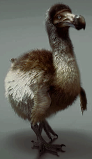 ice age dodo bird name