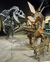 Allosaurus attacks Stegosaurus-0