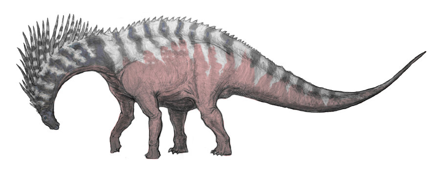 amargasaurus amazon