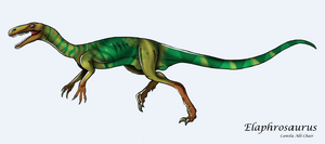 Elaphrosaurus