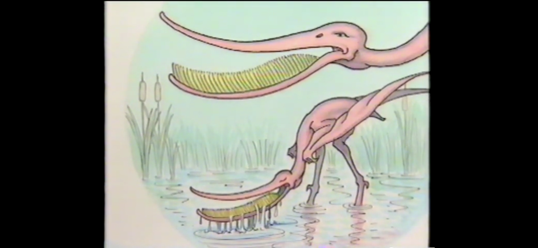 dino dan pterodaustro