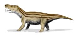 245px-Cynognathus BW