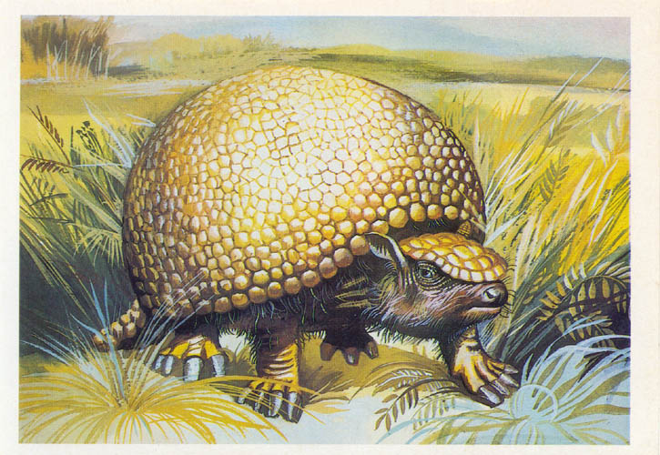 glyptodon dinopedia fandom powered by wikia glyptodon size
