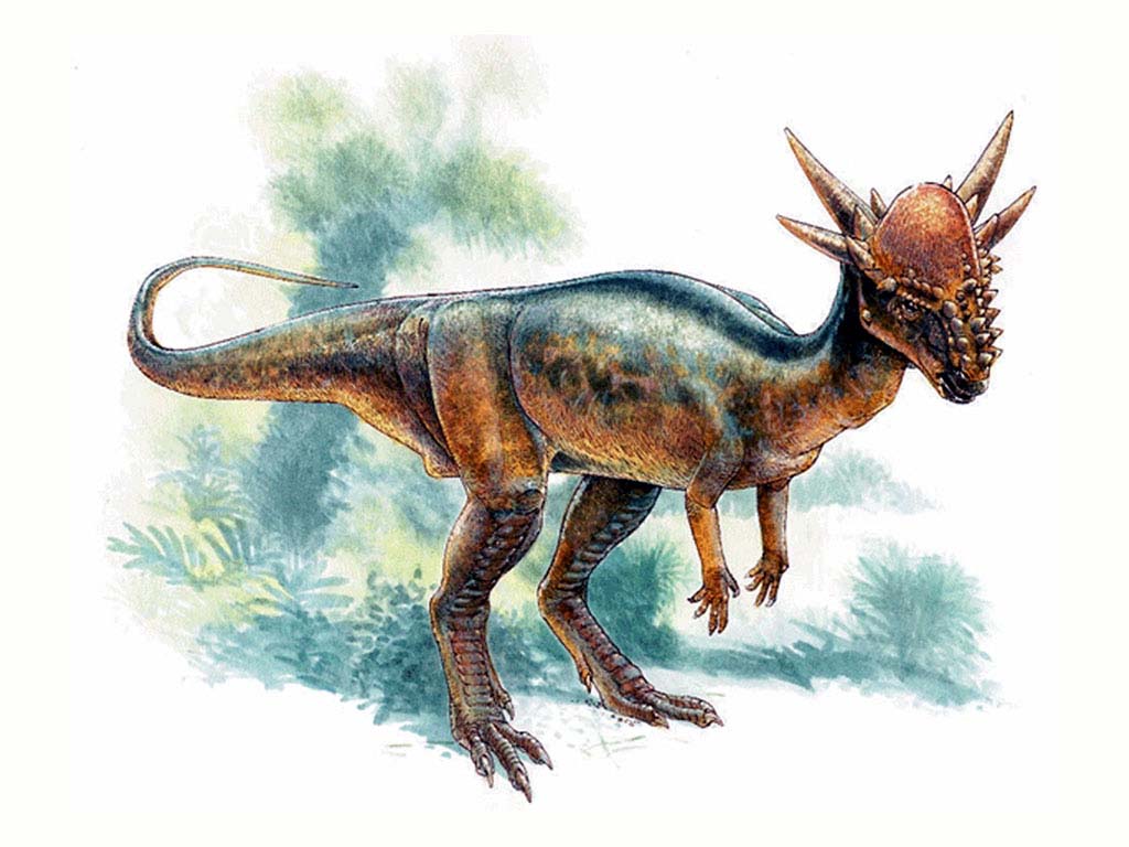jwe stygimoloch