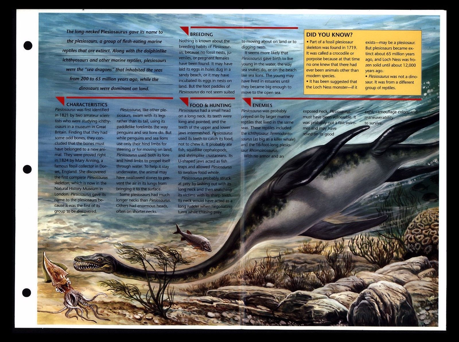 plesiosaur not a dinosaur