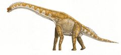 Giraffatitan.jpg