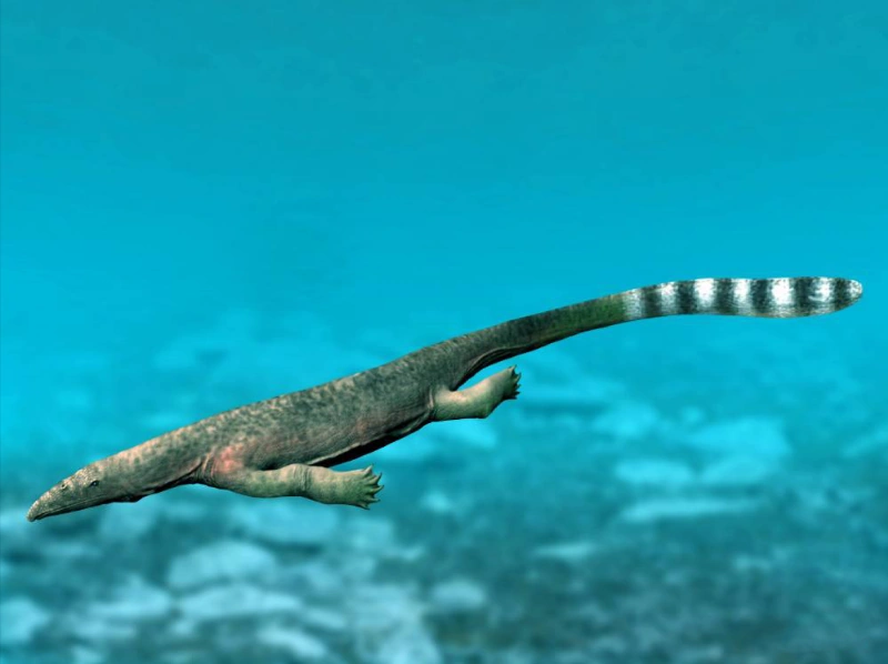 Thalattosaurus Dinopedia Fandom
