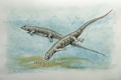 Paraplacodus Dinopedia FANDOM powered by Wikia