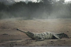 Gryposuchus Dinopedia FANDOM powered by Wikia