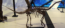 220px-Sauropod juvenile