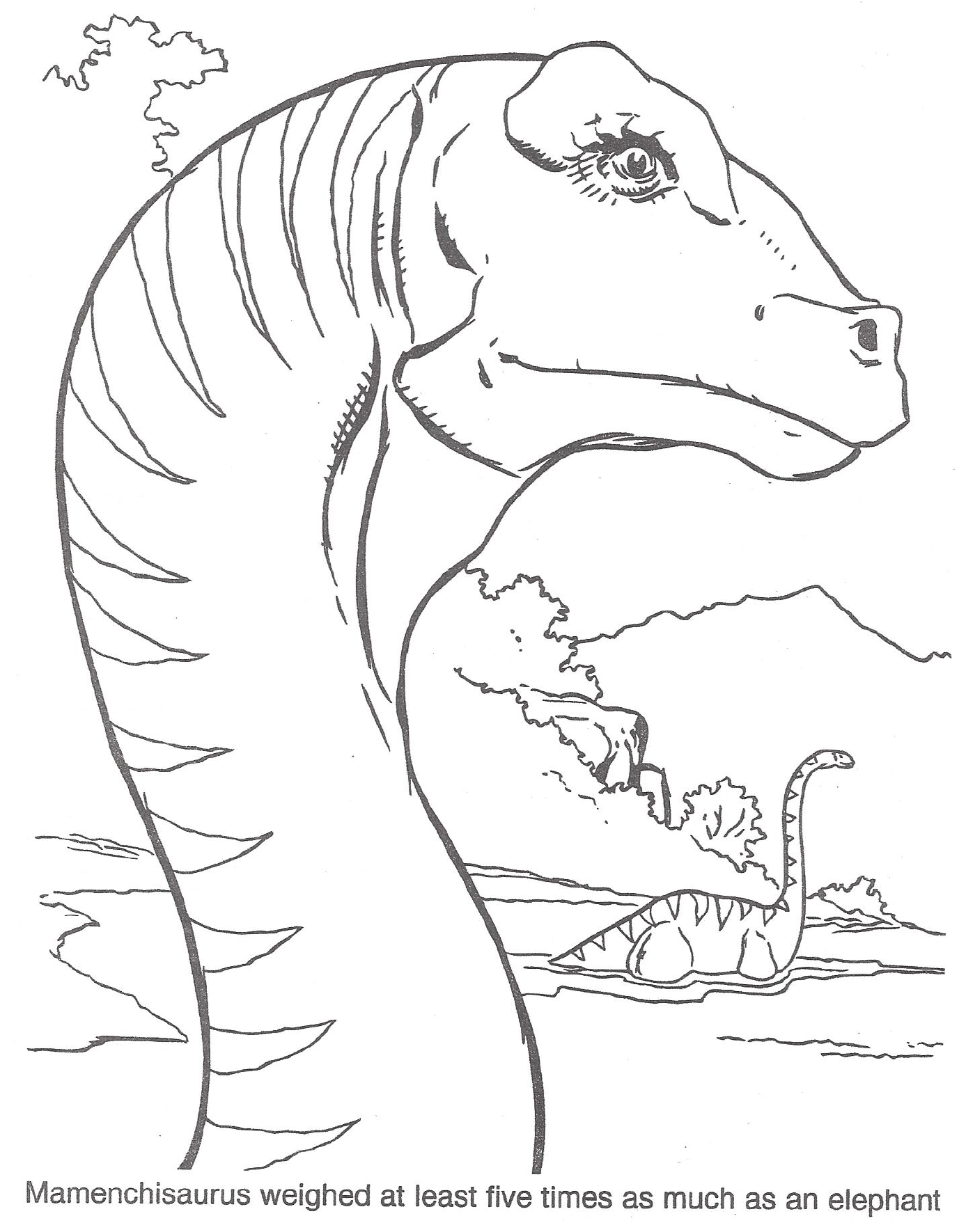 Image TLW coloring page 2.png Dinopedia FANDOM