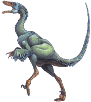 Troodon formosus