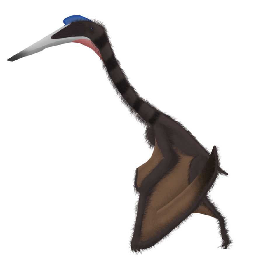 Aerotitan | Dinopedia | FANDOM powered by Wikia