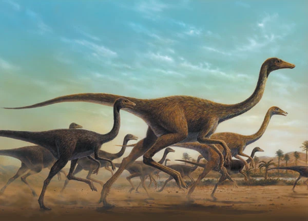 Sinornithomimus Dinopedia FANDOM powered by Wikia