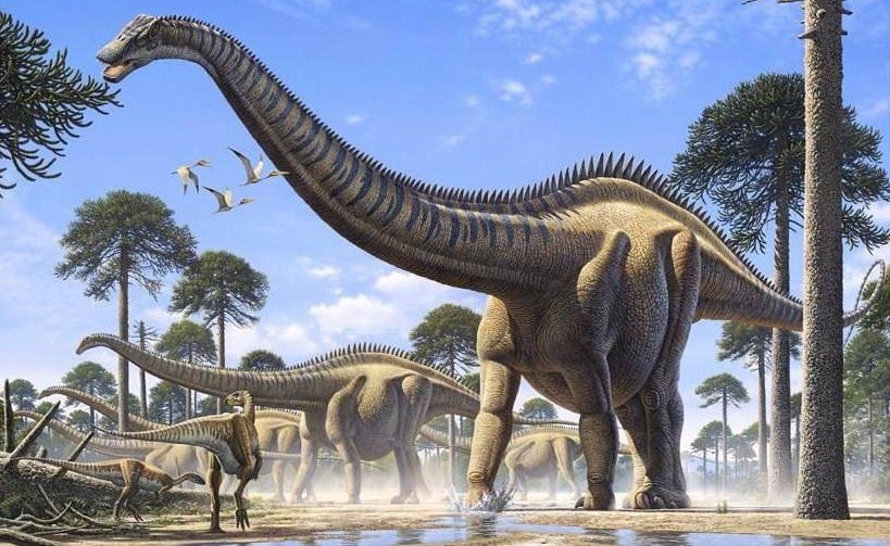 supersaurus dinopedia fandom powered