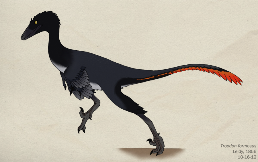 troodon dino dan