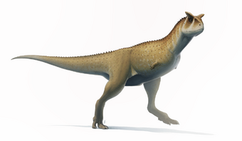 Carnotaurus Dinopedia Fandom - i n d o m i n u s rex roblox