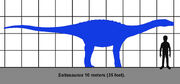 Saltasaur size