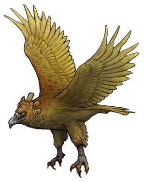 haasts eagle dinopedia fandom powered by wikia haast eagle size