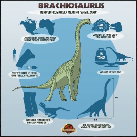 brachiosaurus evolution