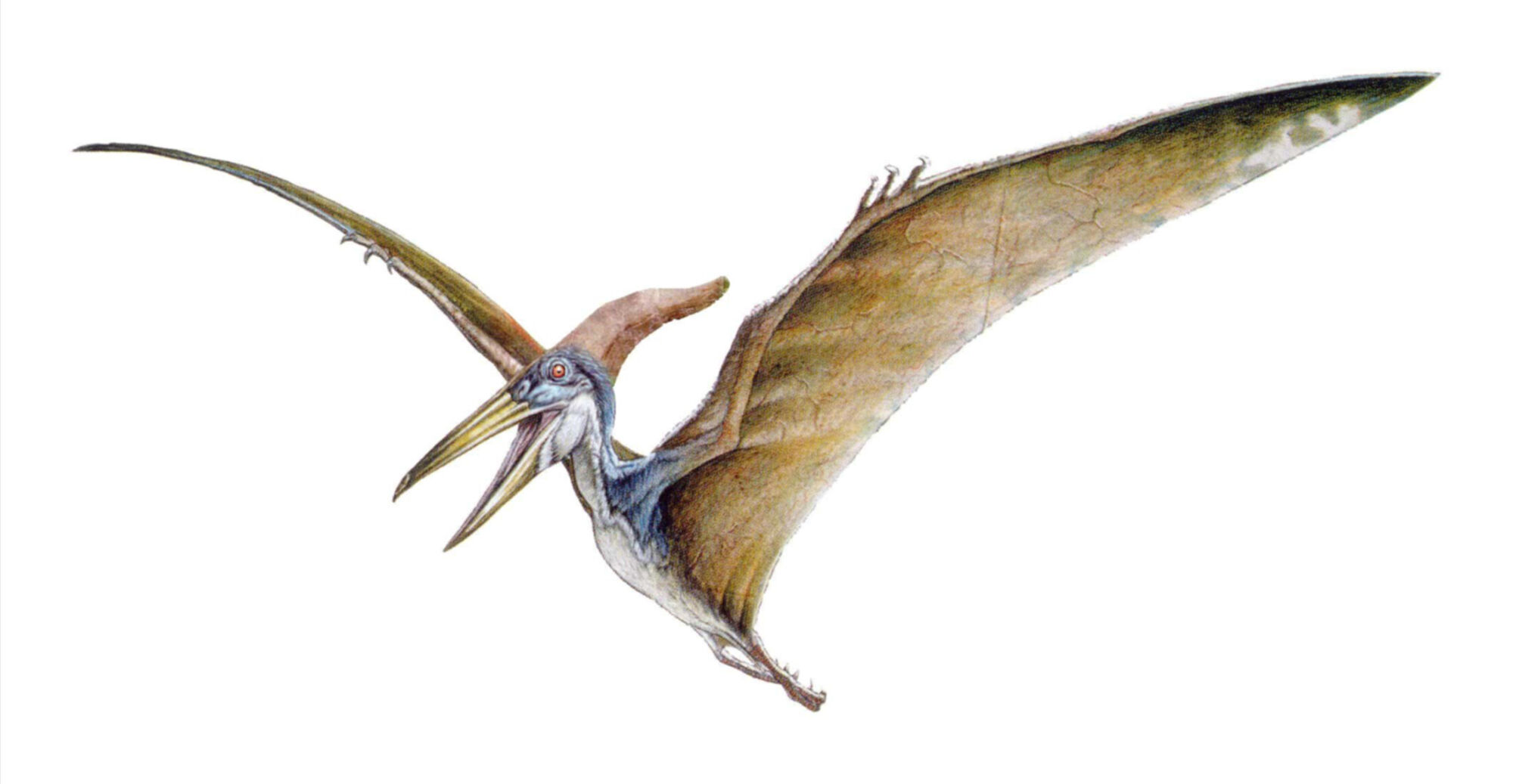 jurassic world evolution 2 pteranodon