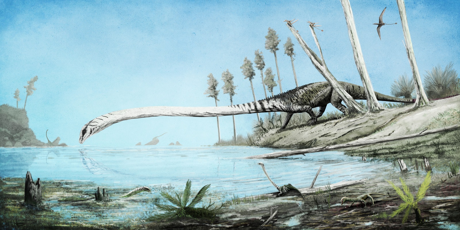 dinosaurs that swam in the ocean