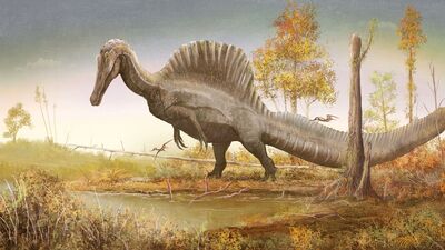 Spinosaurus Dinopedia Fandom