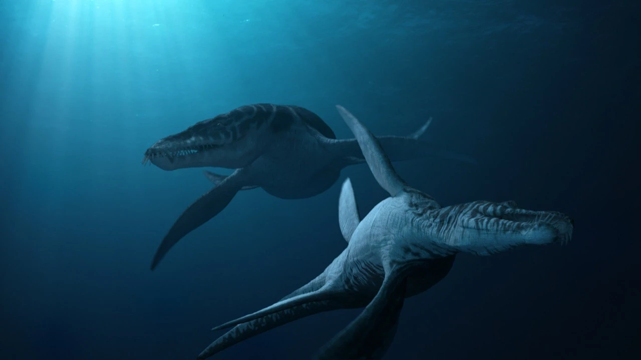 Image Liopleurodon.jpg Dinopedia FANDOM powered by Wikia