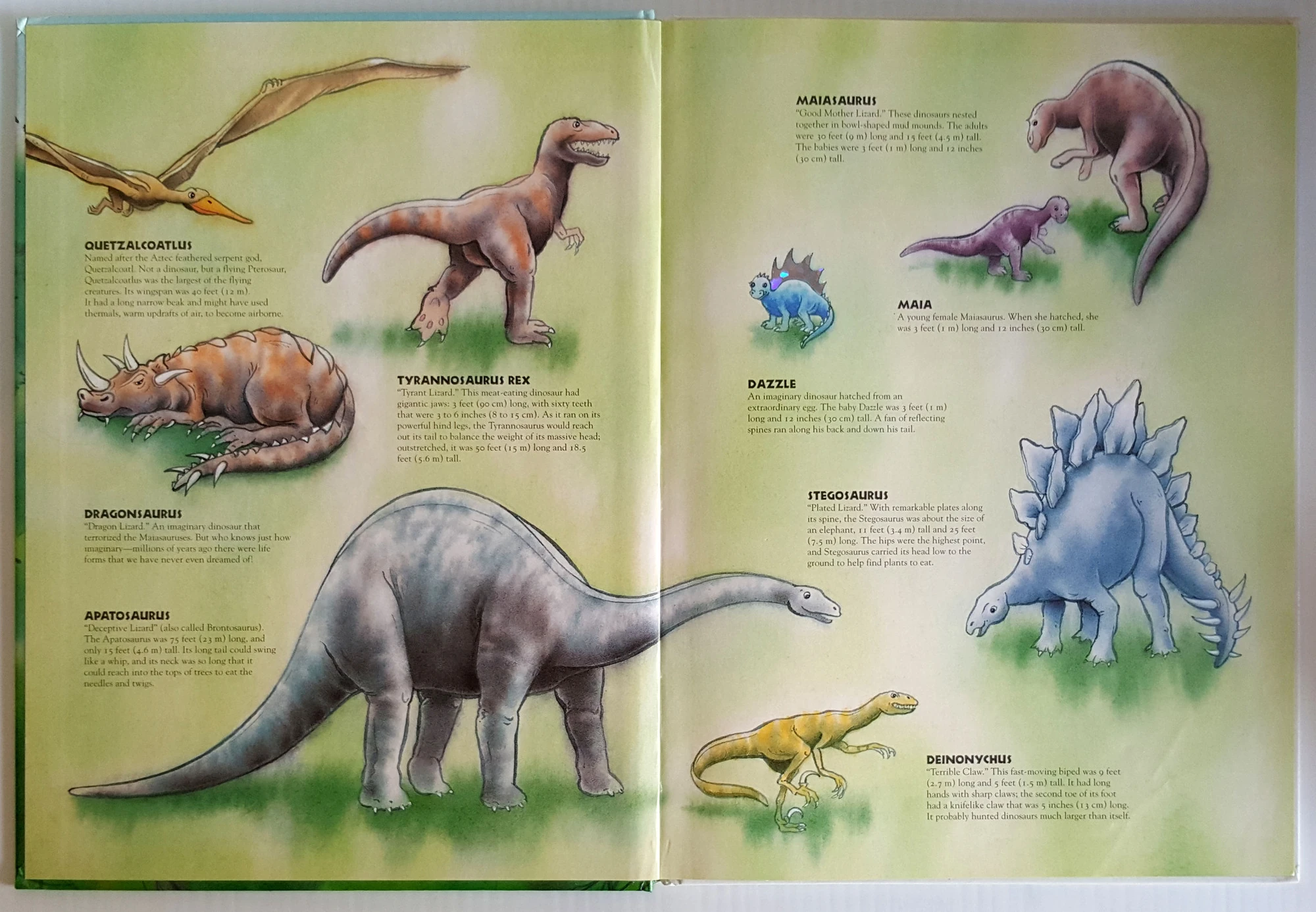 Dazzle The Dinosaur Dinopedia Fandom