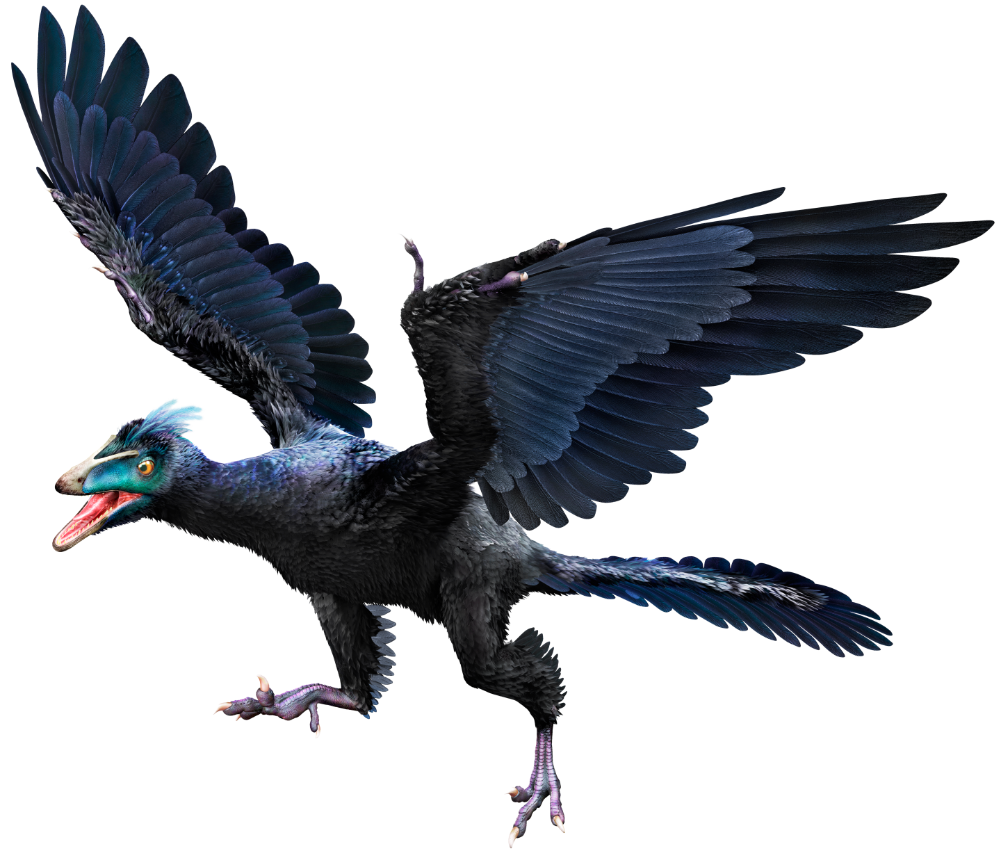 Image Archaeopteryx Hmie72png Dinopedia FANDOM Powered By Wikia