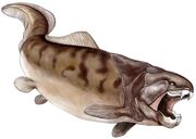 Dunkleosteus