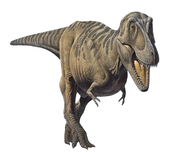 tarbosaurus and tyrannosaurus