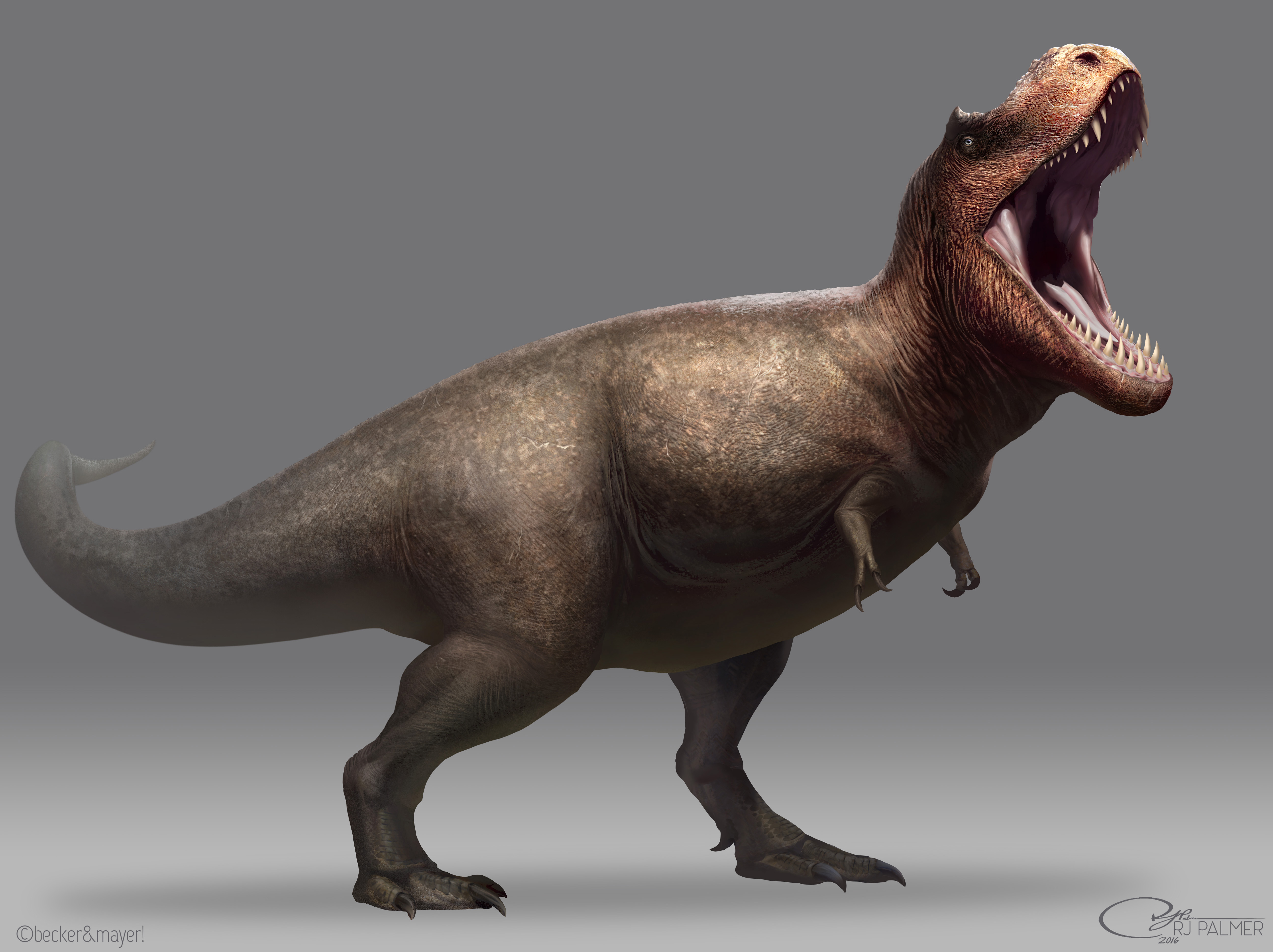 trex dinosaur art