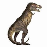 t rex jp