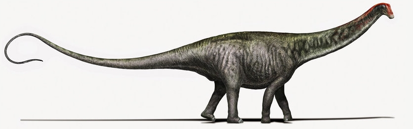 Brontosaurus Dinopedia Fandom Powered By Wikia