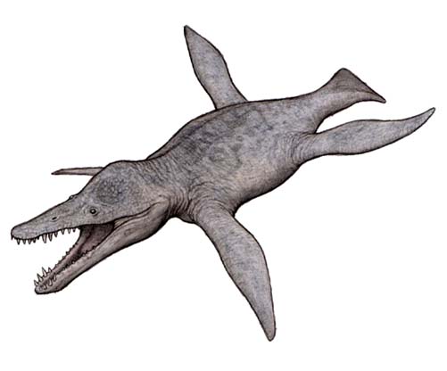kronosaurus and mosasaurus