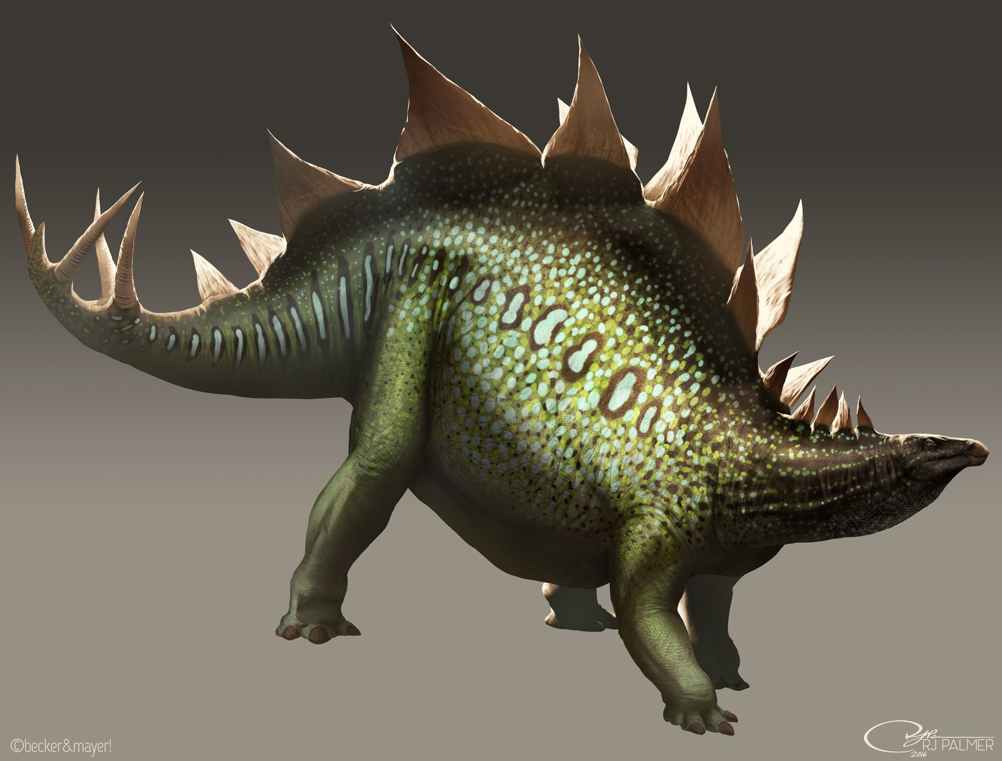 stegosaurus jp