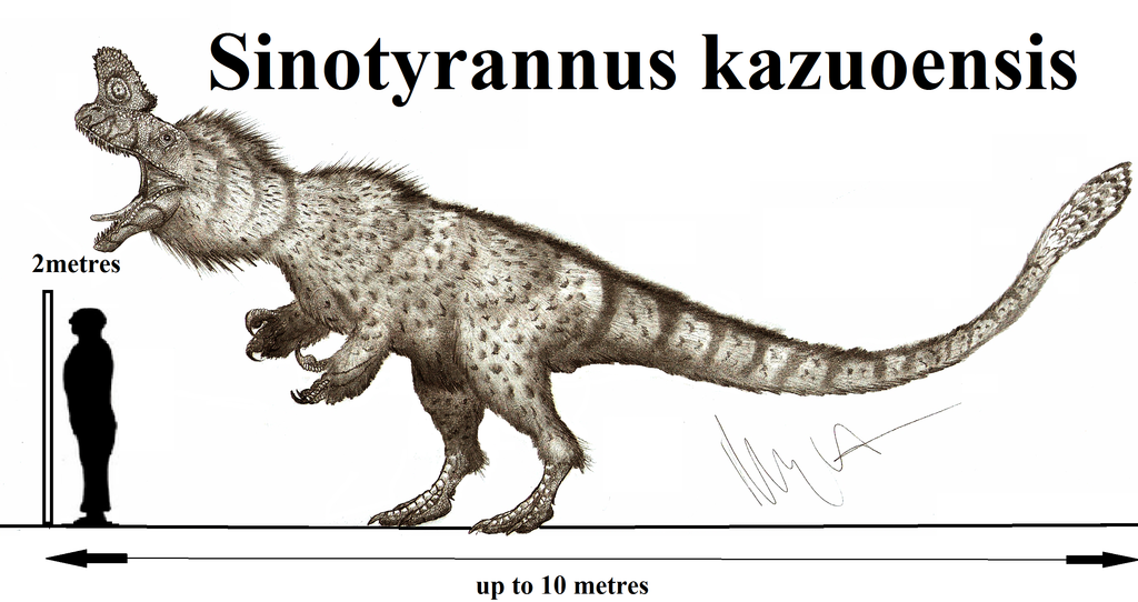 Sinotyrannus | Dinopedia | Fandom