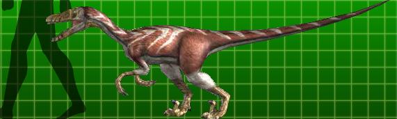 velociraptor dino dan