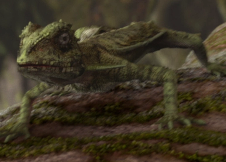 All BBC JellyFish studios creatures by kingrexy on DeviantArt