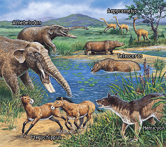 Cenozoic-era-info0