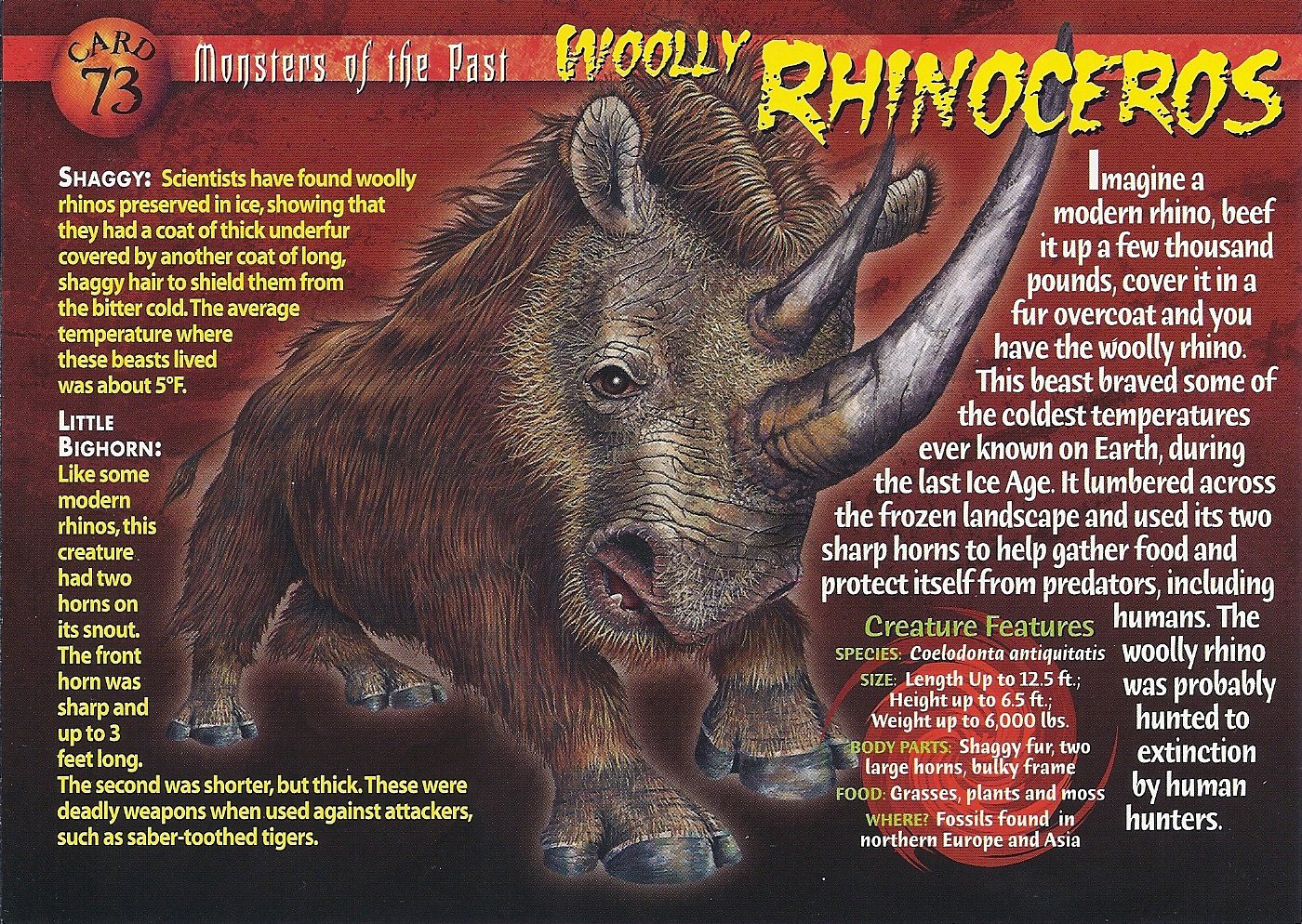 Image Wooly Rhinoceros front.jpg Dinopedia FANDOM powered by Wikia