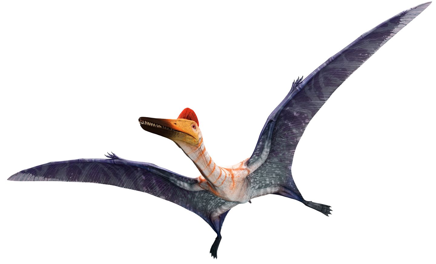 dino pteranodon