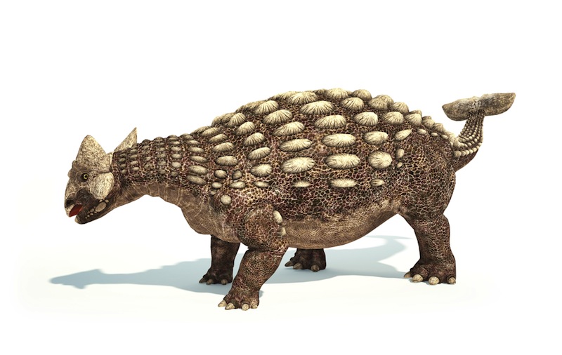 dinosaur with a ball tail