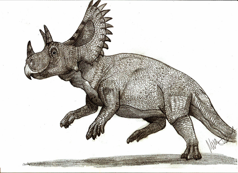 3 ceratops