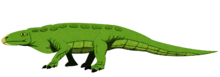 220px-Crosbysaurus hypothetical