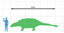 220px-Ankylosaurus scale