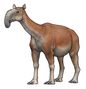 Deinotherium, Dinopedia